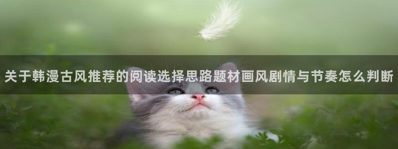 51漫画漫画查找：关于韩漫古风推荐的阅读选择思路题材画风剧情与节奏怎么判断